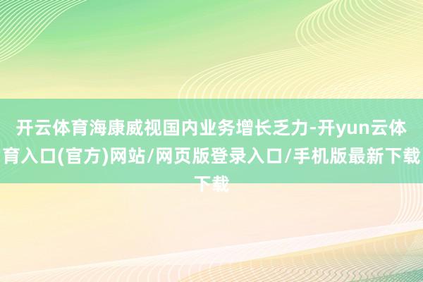 开云体育海康威视国内业务增长乏力-开yun云体育入口(官方)网站/网页版登录入口/手机版最新下载