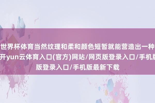 世界杯体育当然纹理和柔和颜色短暂就能营造出一种舒心氛围-开yun云体育入口(官方)网站/网页版登录入口/手机版最新下载