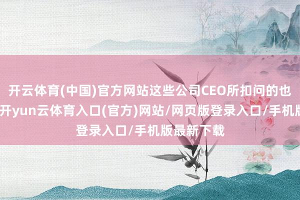 开云体育(中国)官方网站这些公司CEO所扣问的也多纠合于-开yun云体育入口(官方)网站/网页版登录入口/手机版最新下载