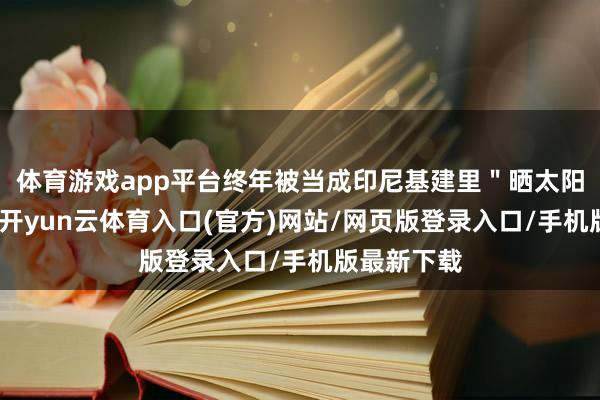 体育游戏app平台终年被当成印尼基建里"晒太阳"的财富-开yun云体育入口(官方)网站/网页版登录入口/手机版最新下载